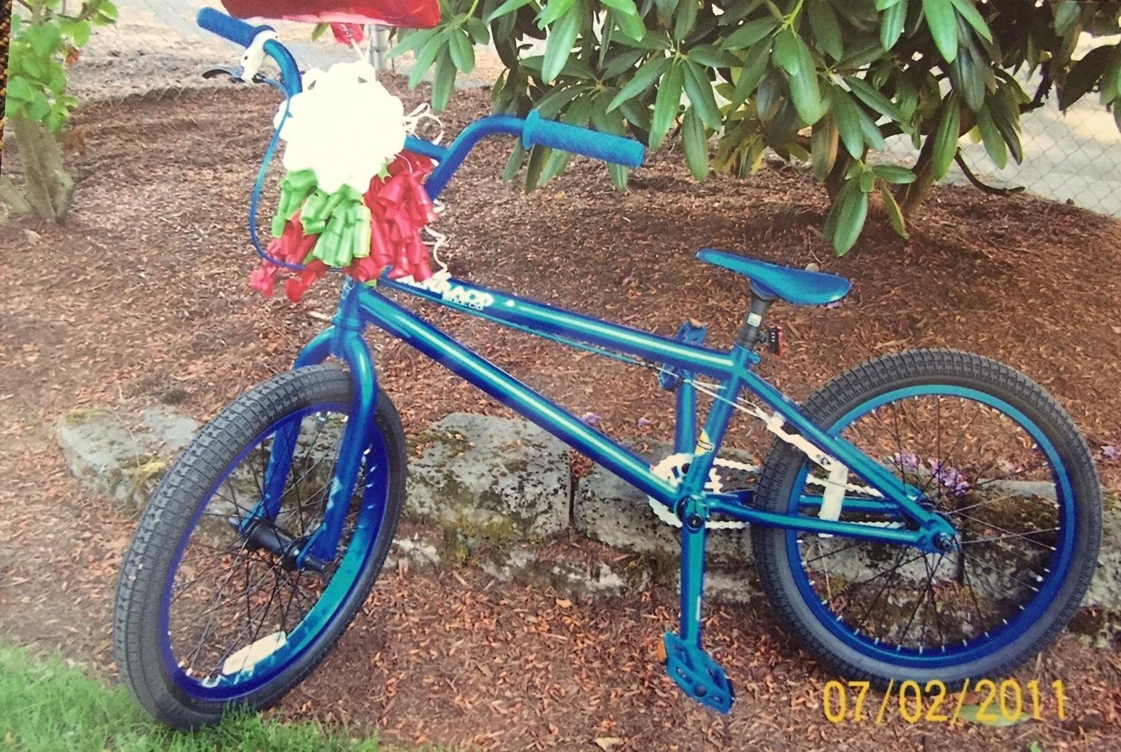 2011 MirraCo Bronson Blue