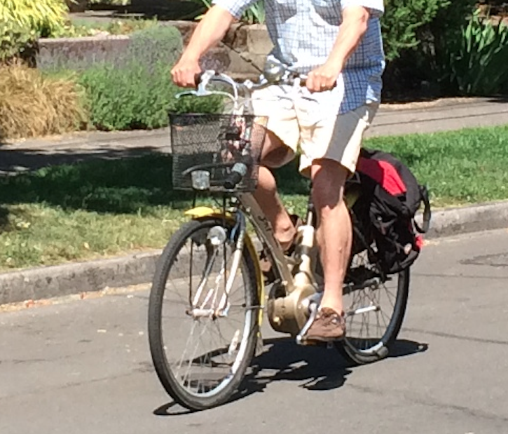 2003 Giant LaFree  Silver or Gray