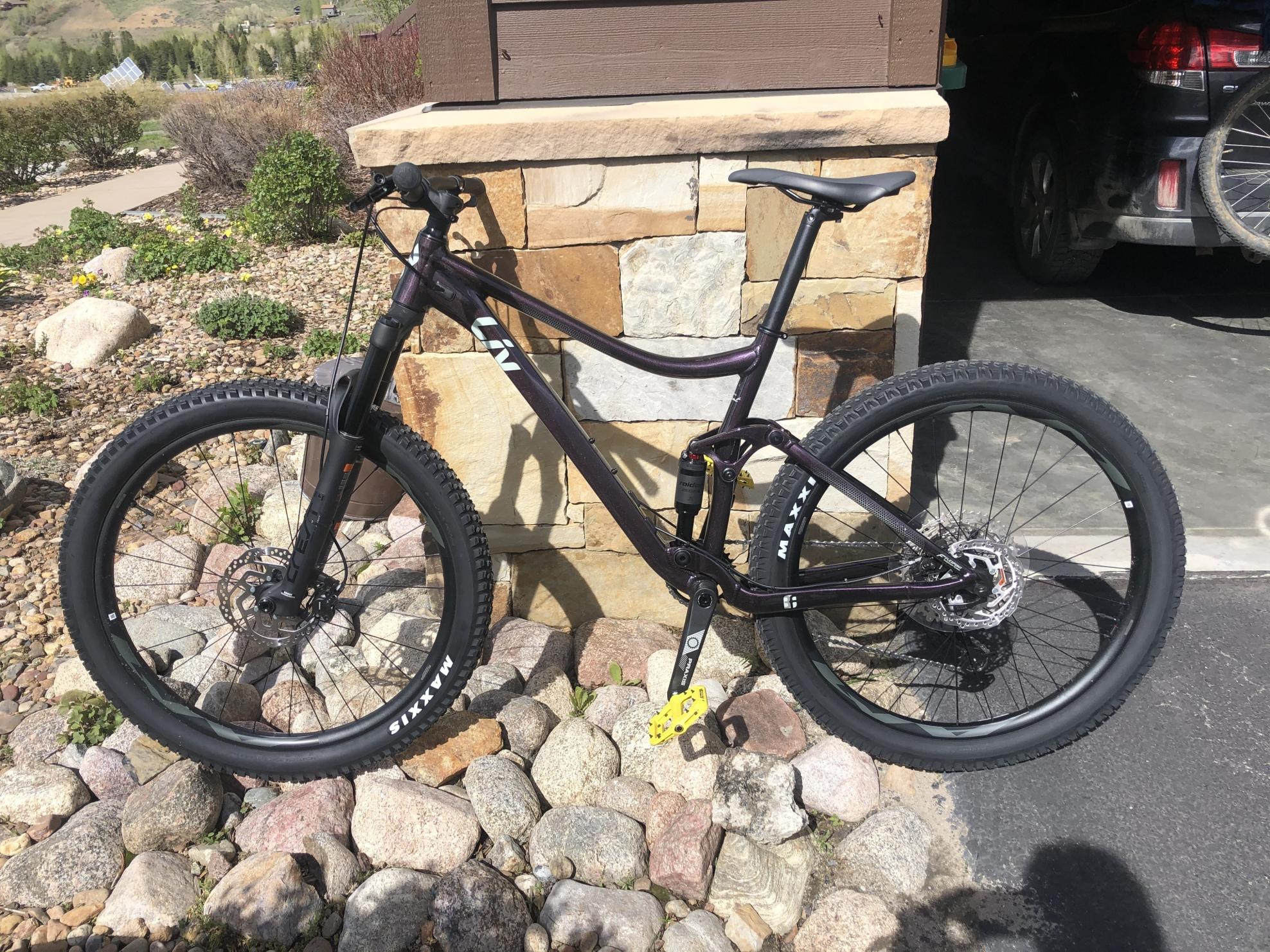 2021 Liv Embolden Purple