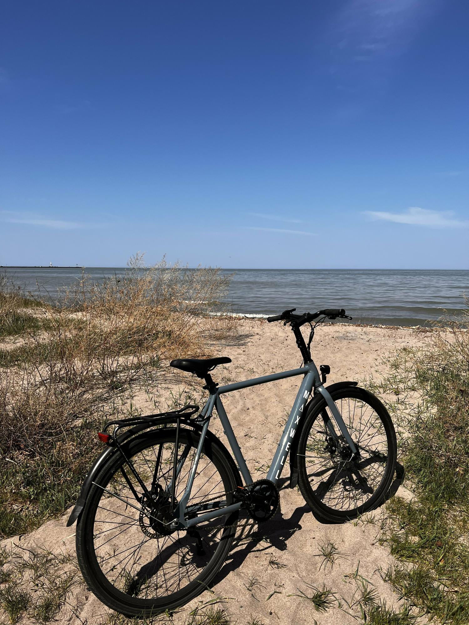 2022 Maxwell bikes Stoic Blue