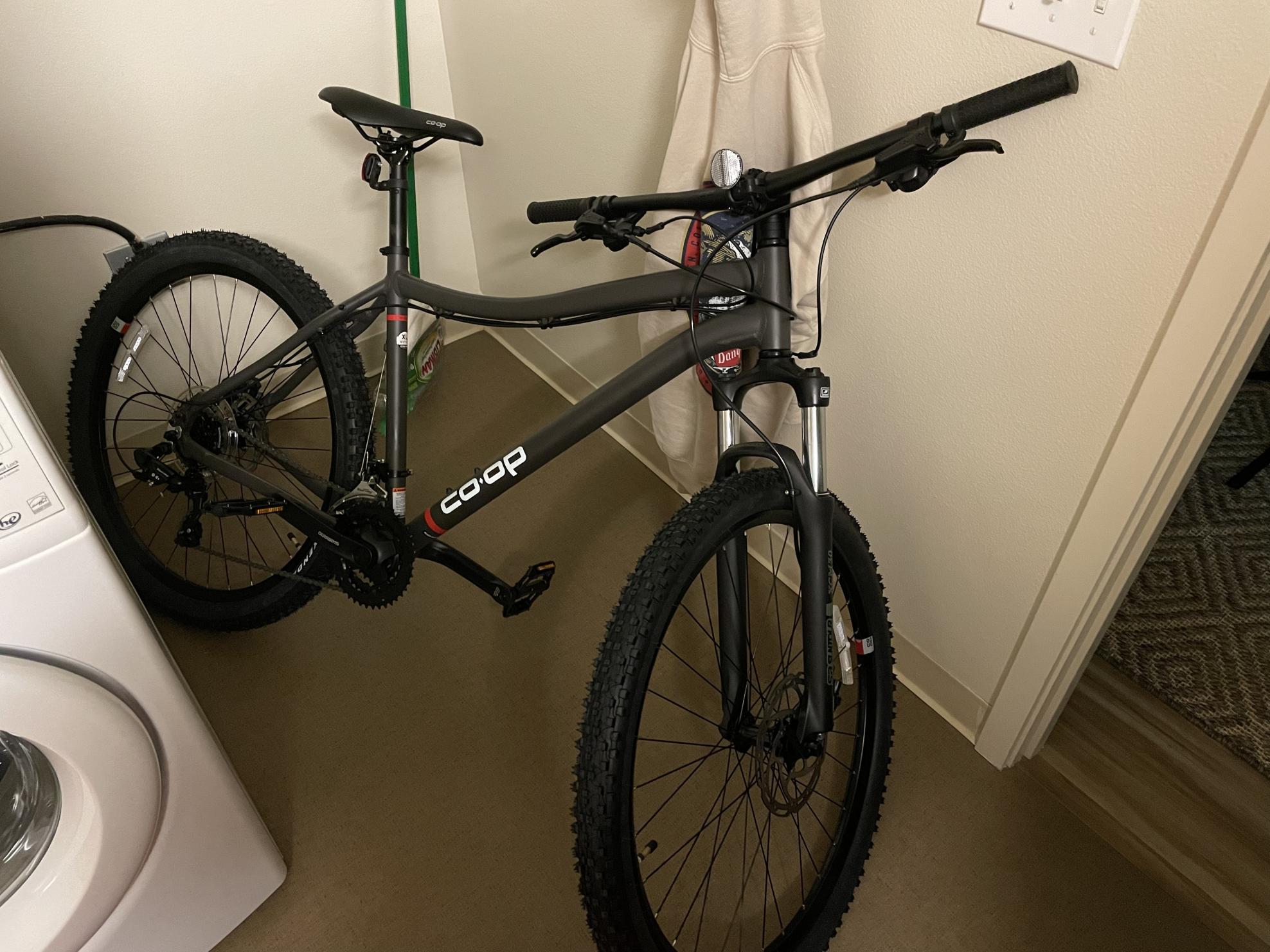 REI Hardtail mtb Silver, gray or bare metal