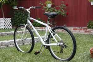 2002 Gary Fisher Napa  Silver or Gray and White