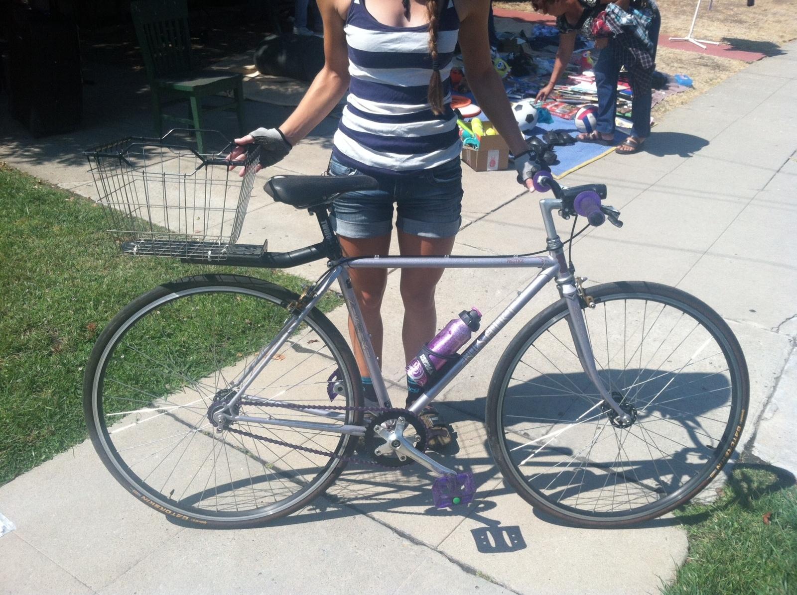 Nishiki Prestige Silver or Gray and Purple