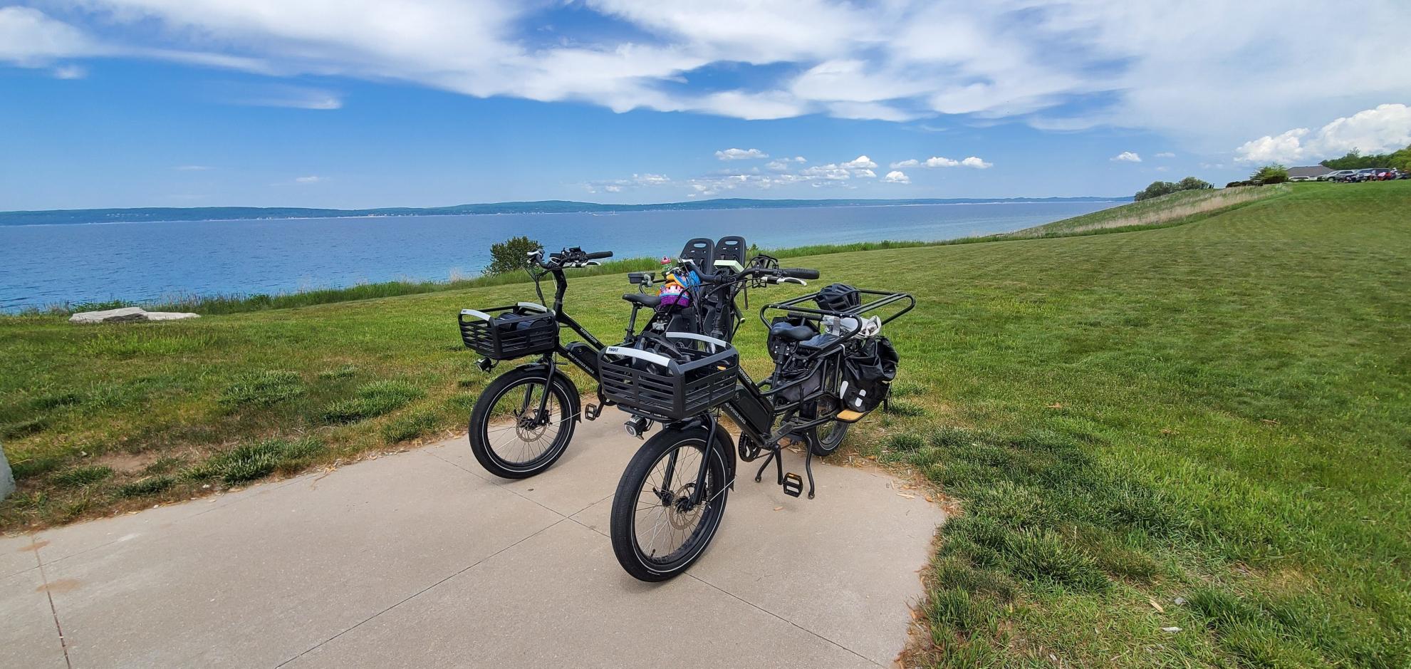 2020 Rad Power Bikes Radwagon 4 Black