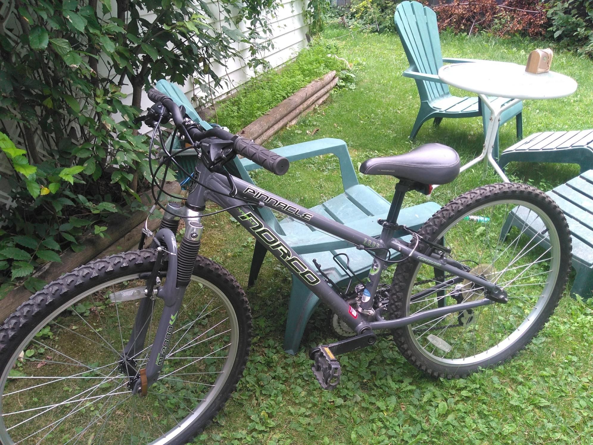 Norco Bikes Pinnacle Silver, gray or bare metal