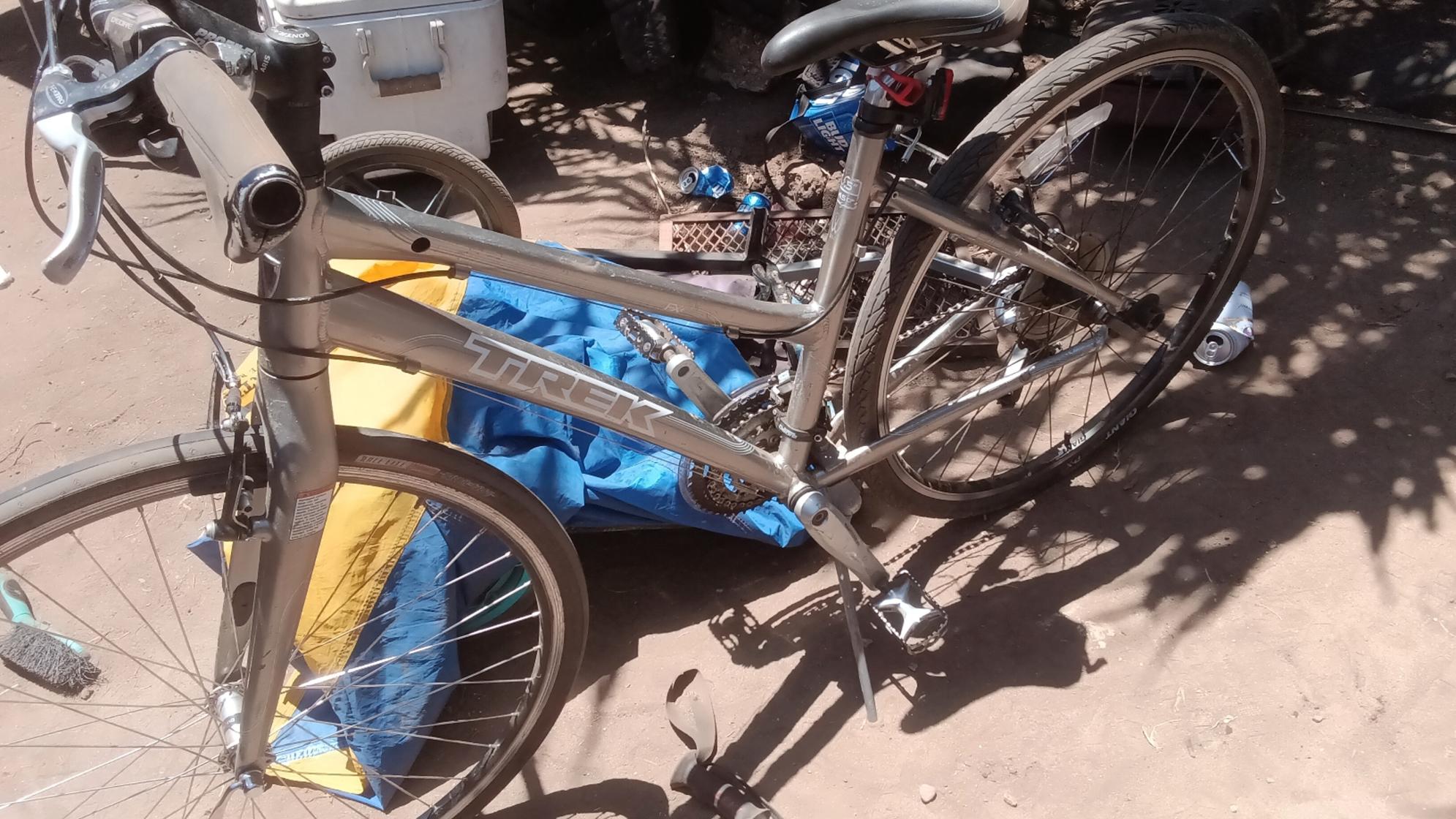 Trek FX+ Silver, gray or bare metal