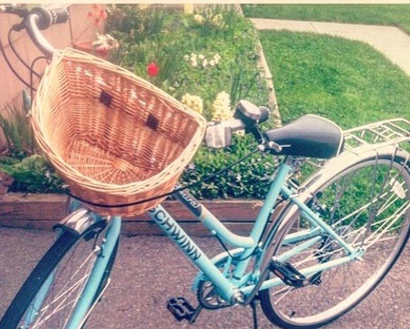 Schwinn Admiral Blue