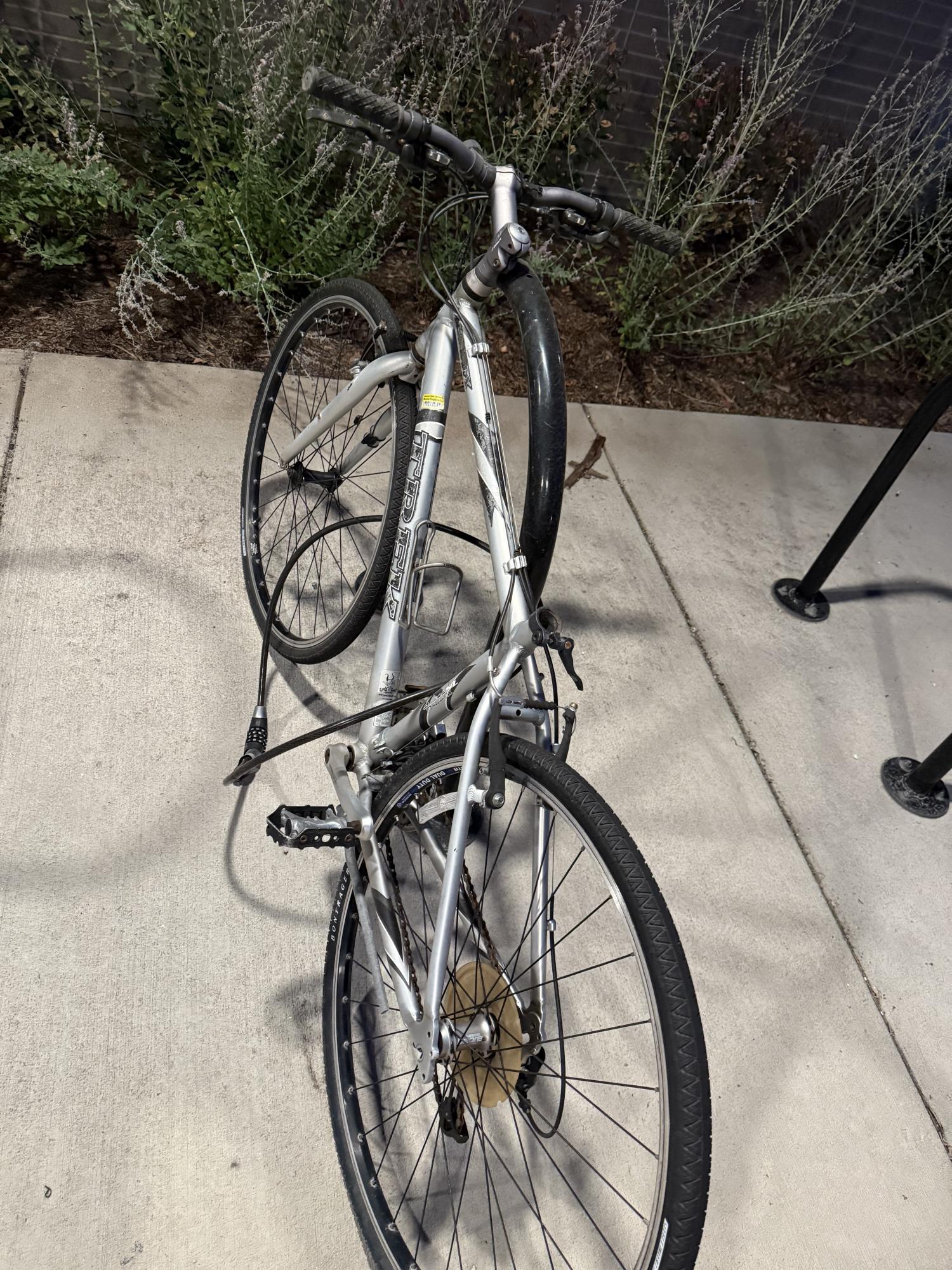 2025 Trek Alpha Superlight Silver, gray or bare metal