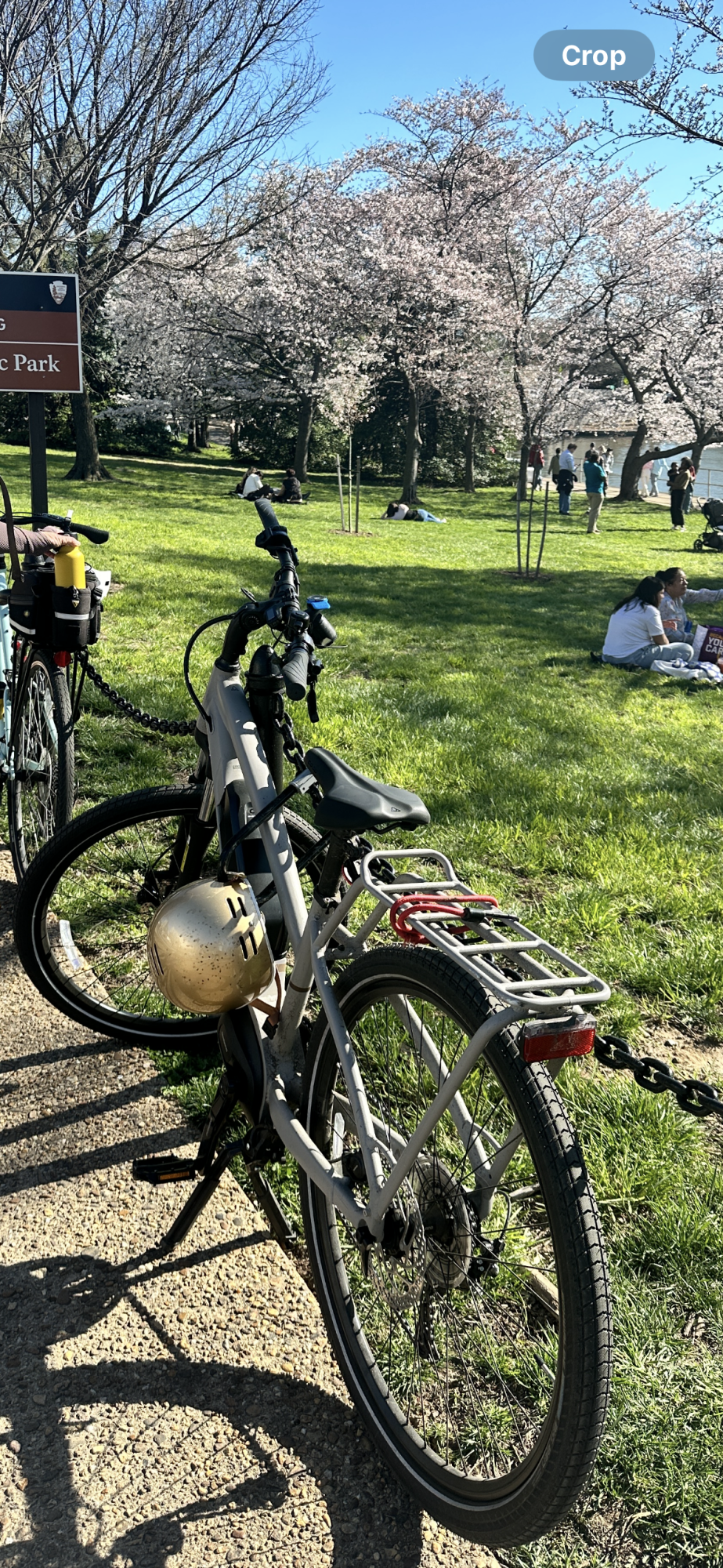2023 REI Co-op e2.1 Silver, gray or bare metal