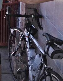 2009 Fuji Roubaix Silver or Gray