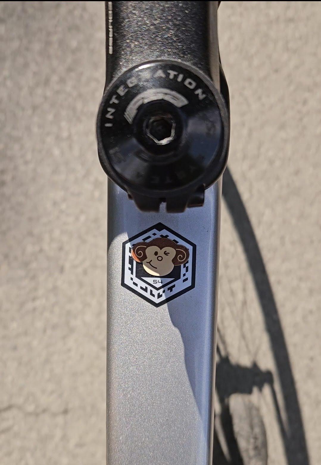 2021 Cannondale SuperSix Evo Silver, gray or bare metal