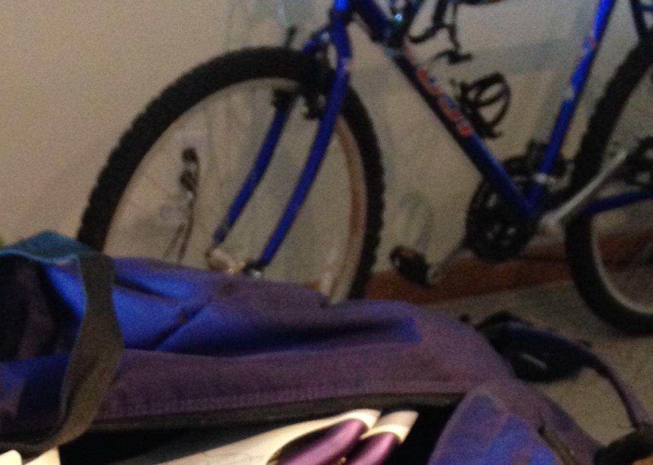 Fuji Odessa 1.0 Blue