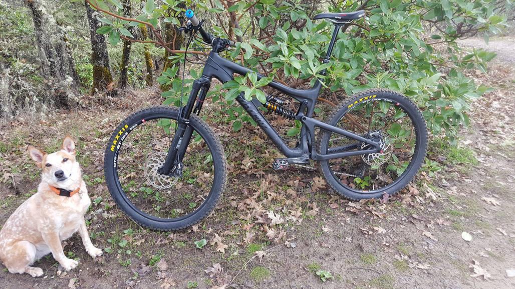 2015 Santa Cruz Nomad C - Stealth Black