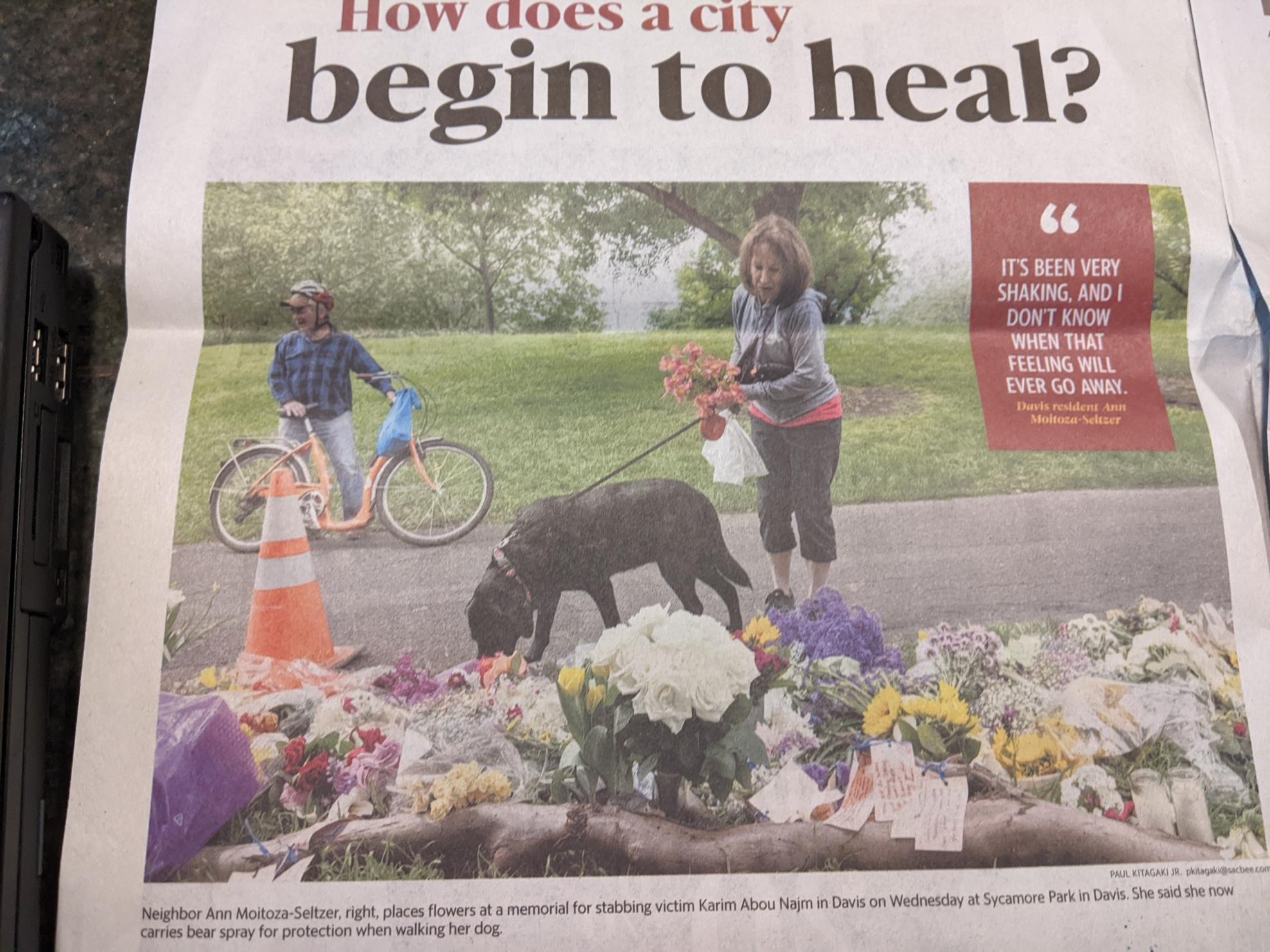 Biria Easy Boarding Cruiser Orange