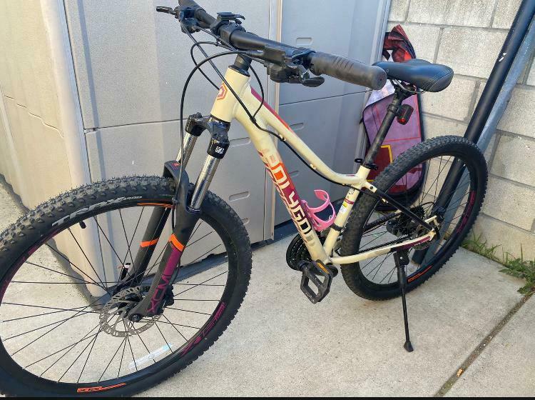 2020 Polygon Cleo 2 Brown