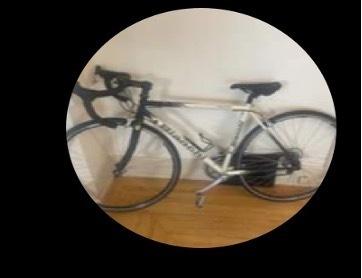 2024 Bianchi Veloce 27 Speed Road Bike (48 cm frame) White