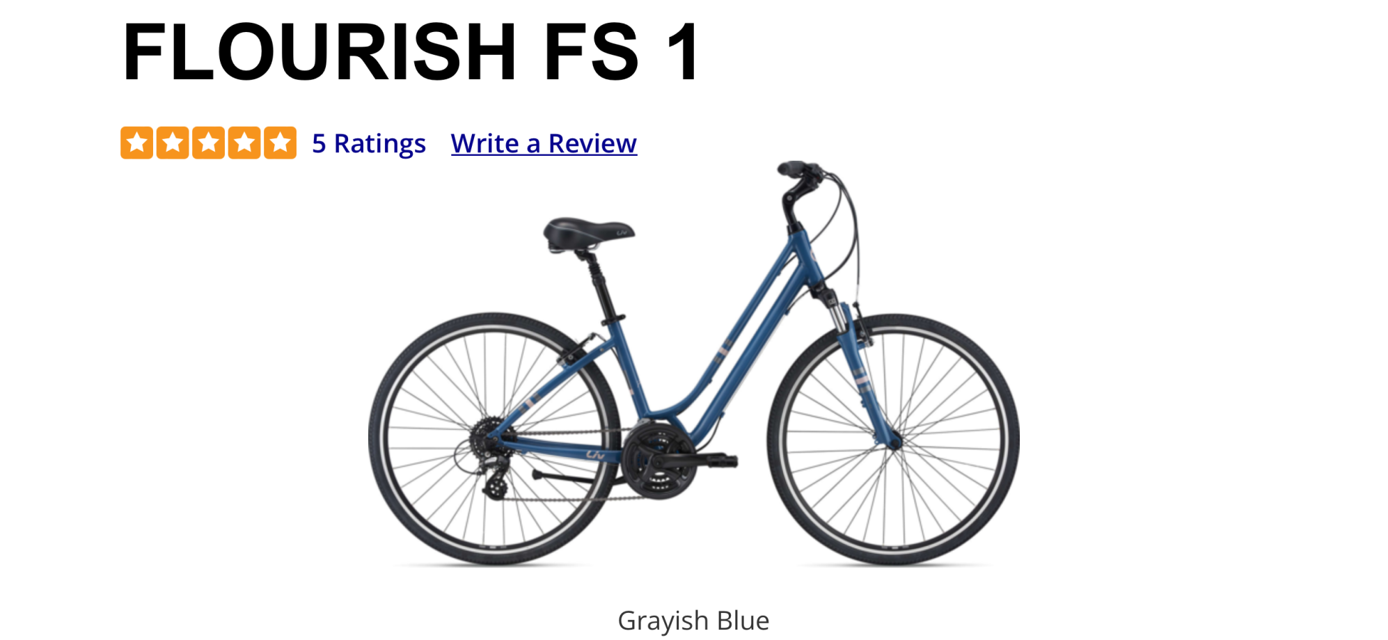 2021 Flourish FS 1 Blue