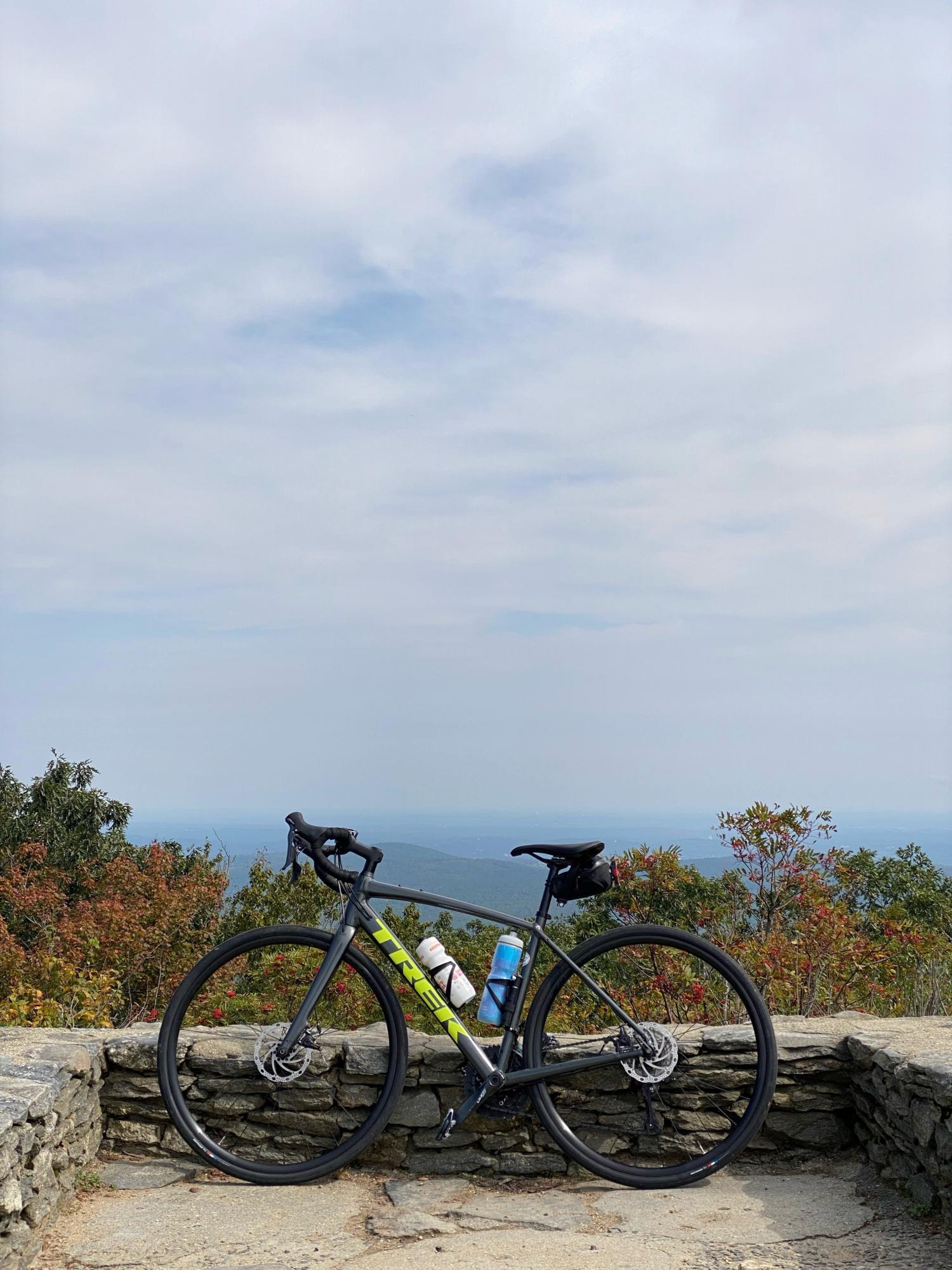 2021 Trek Domane AL3 Disc Silver, gray or bare metal