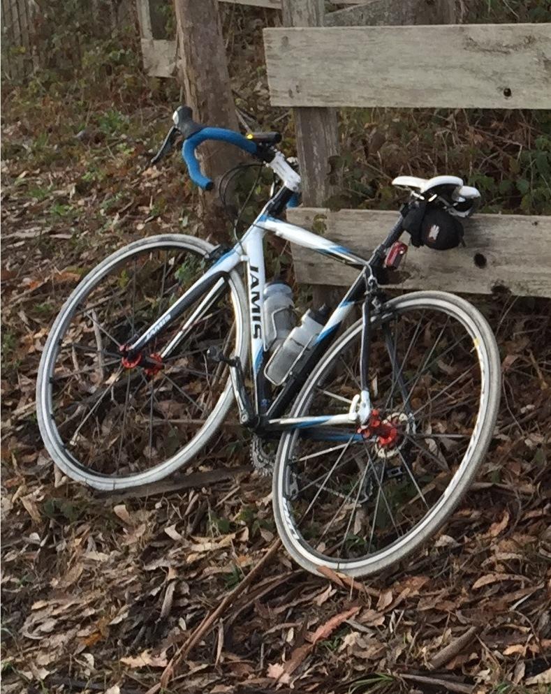 Most recent photo (yesterday!) with current wheels