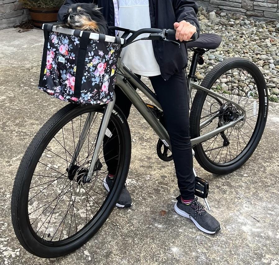 2021 Cannondale 27.5 U Treadwell 2 Remixte Ltd Silver, gray or bare metal