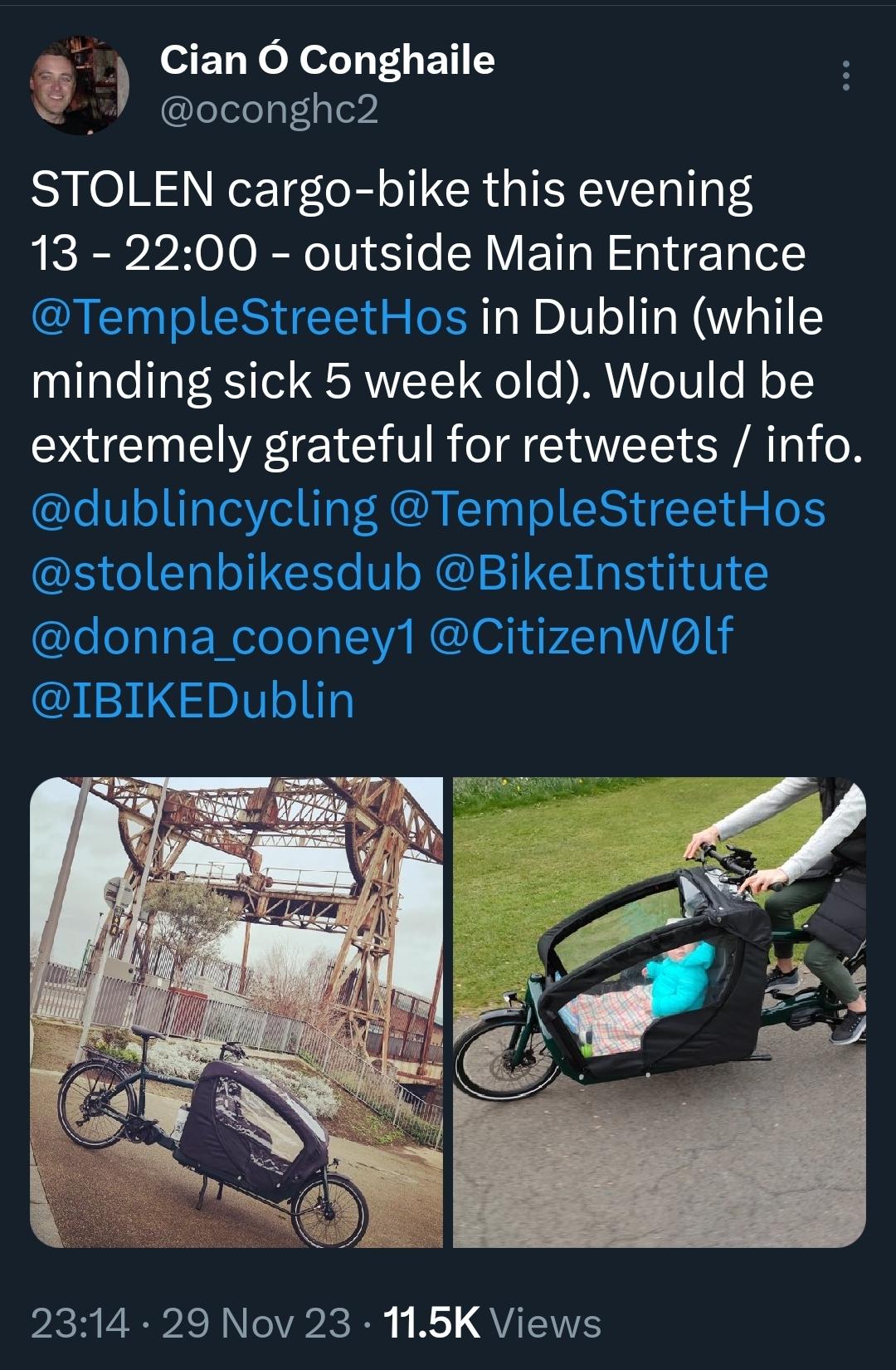 Larry Vs Harry E6100 cargo bike (front storage) Green