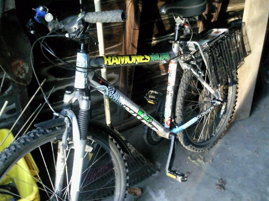 2003 Giant mountain bike  Black
