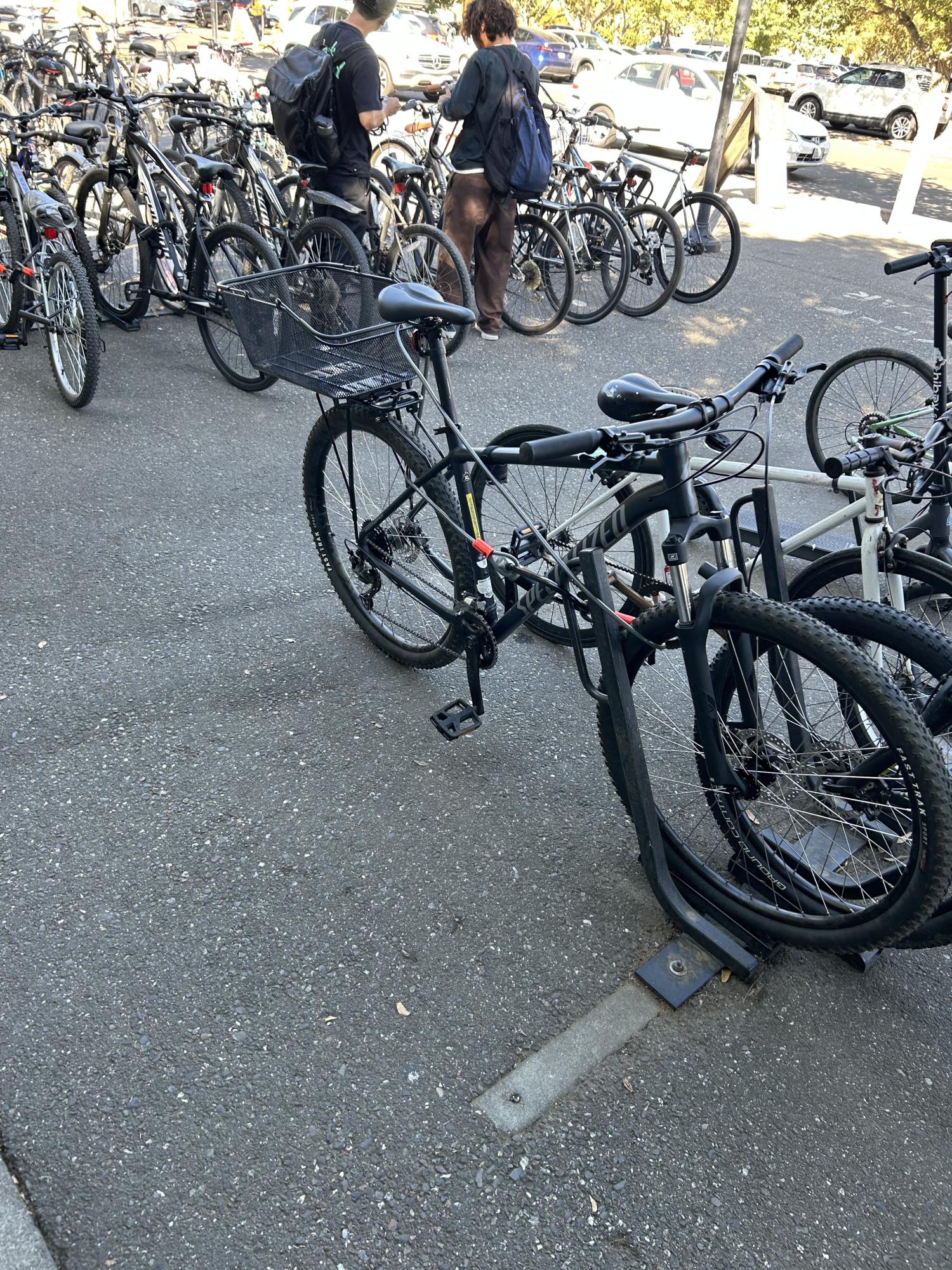 2024 Specialized ROCKHOPPER BASE Black