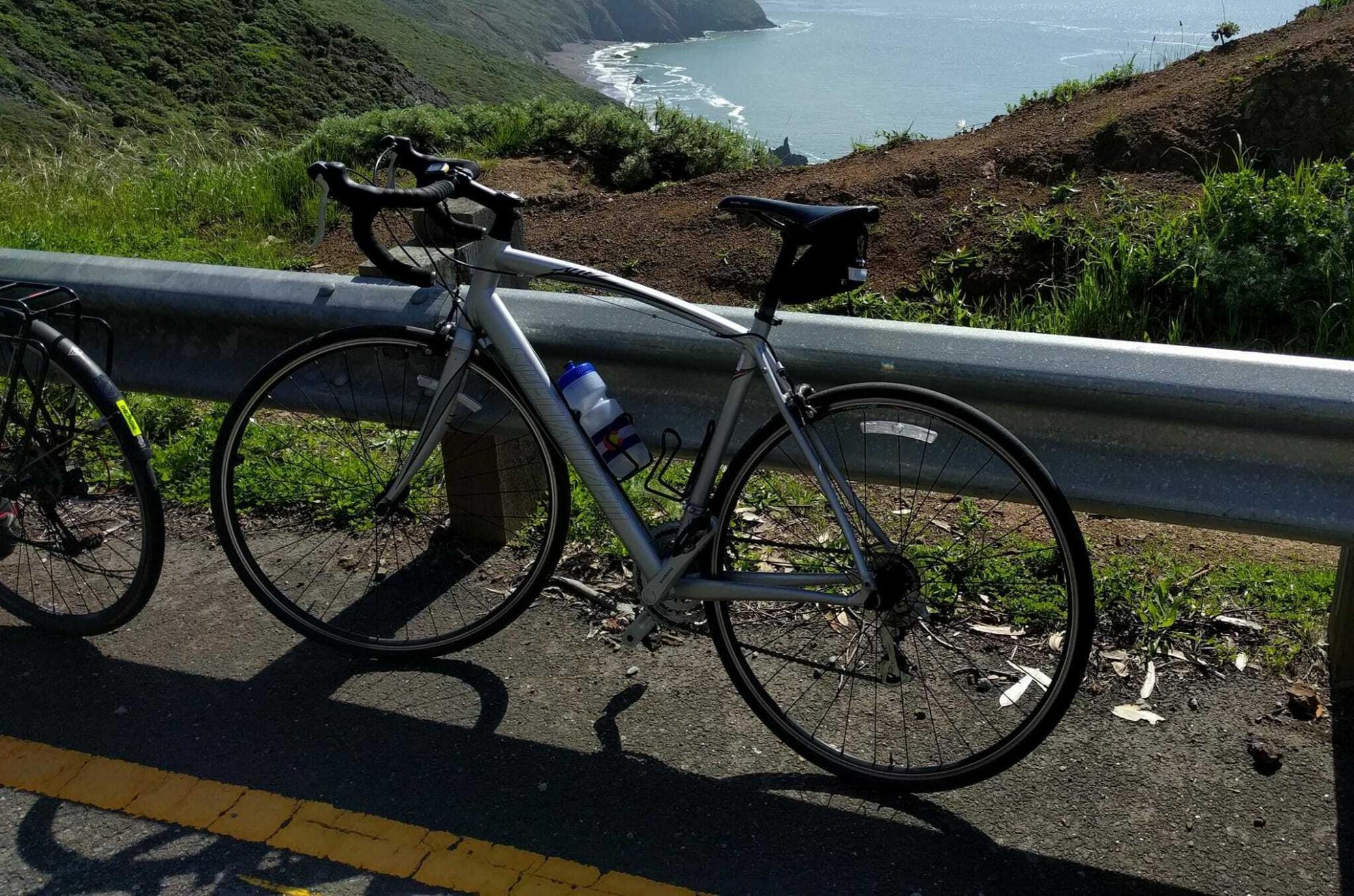2010 Specialized Allez Double Silver, gray or bare metal