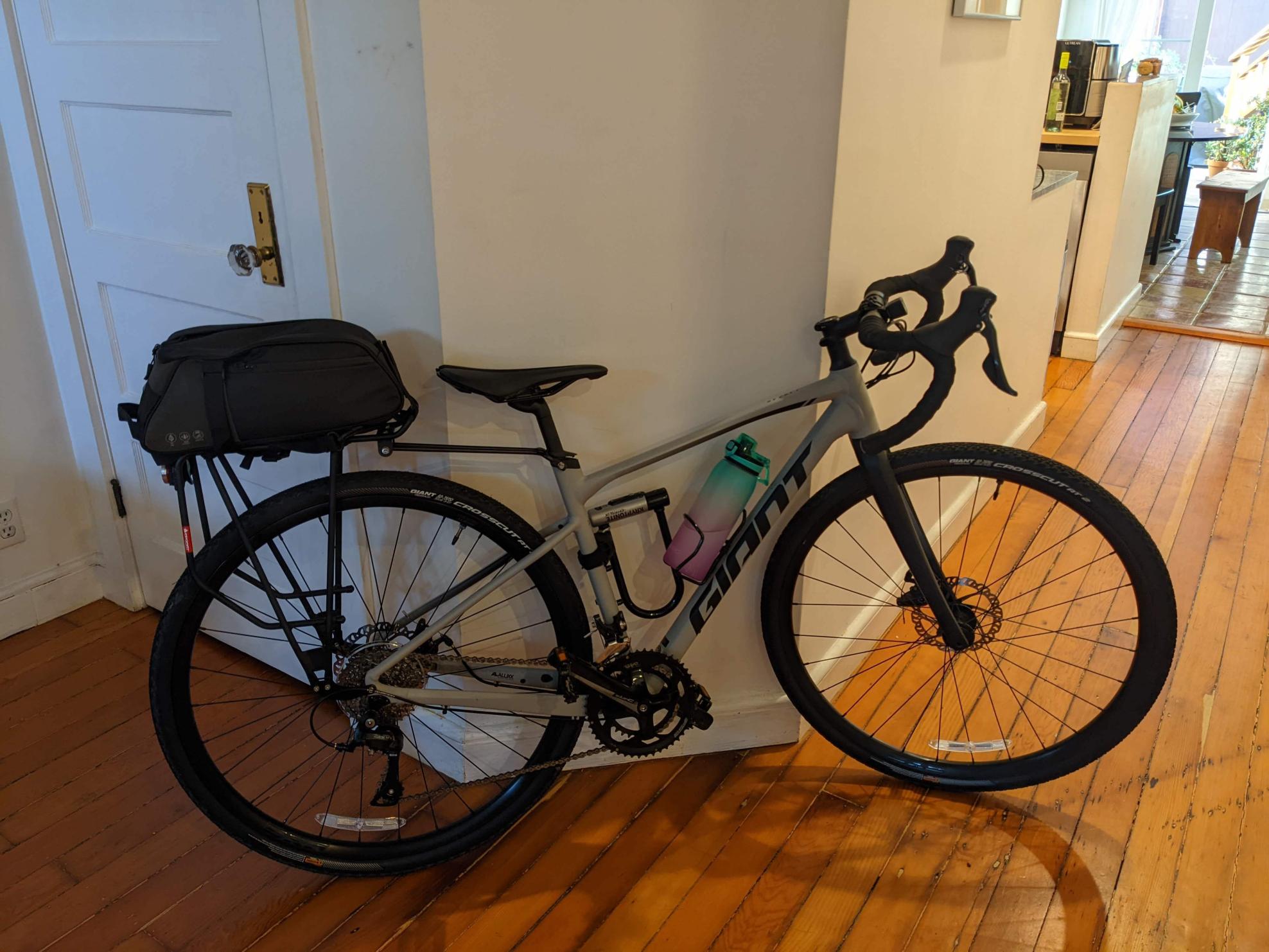 2021 Giant Revolt 2 Silver, gray or bare metal