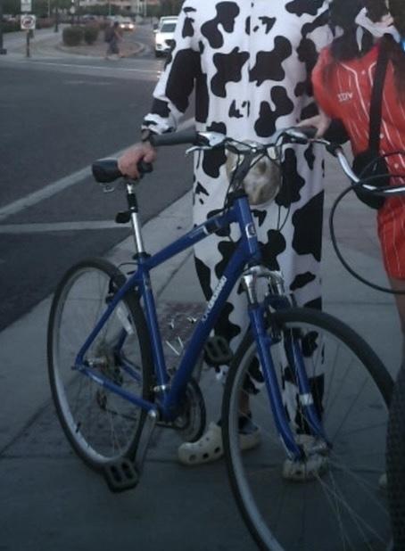 2010 Diamondback Edgewood Blue