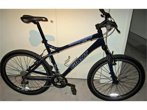 2006 Giant Rincon  Blue