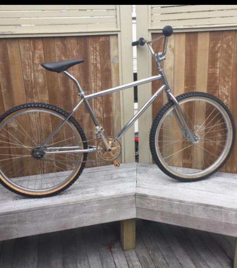 Murray Bmx Silver, gray or bare metal