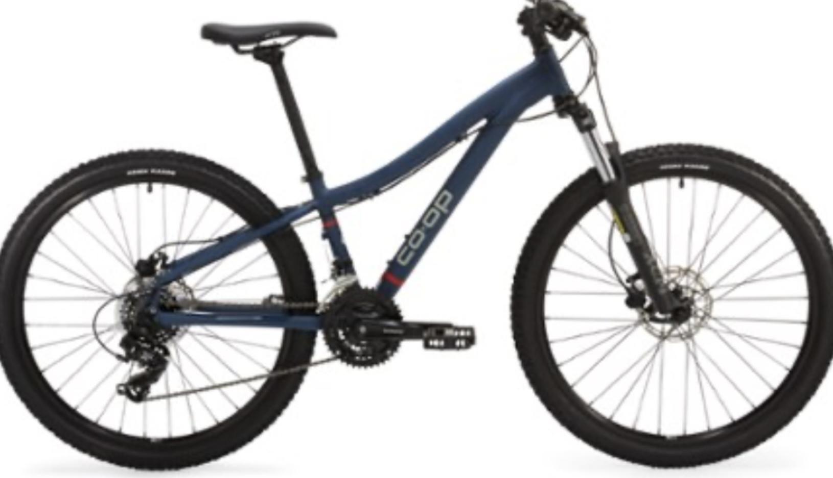 2024 REI Co-op DRT 1.0 Blue
