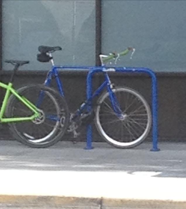 Miyata XXL Blue
