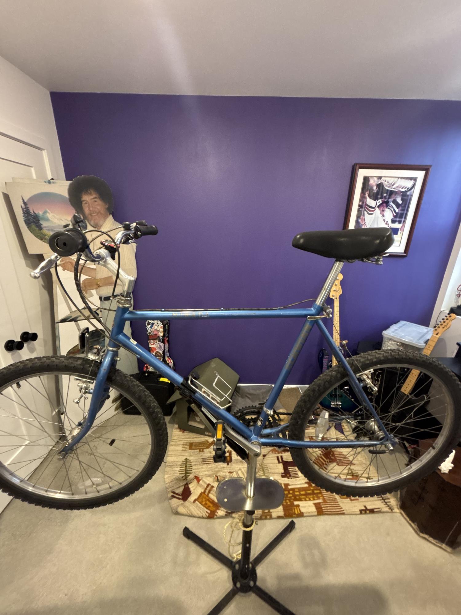 1985 Schwinn MD-1 Blue