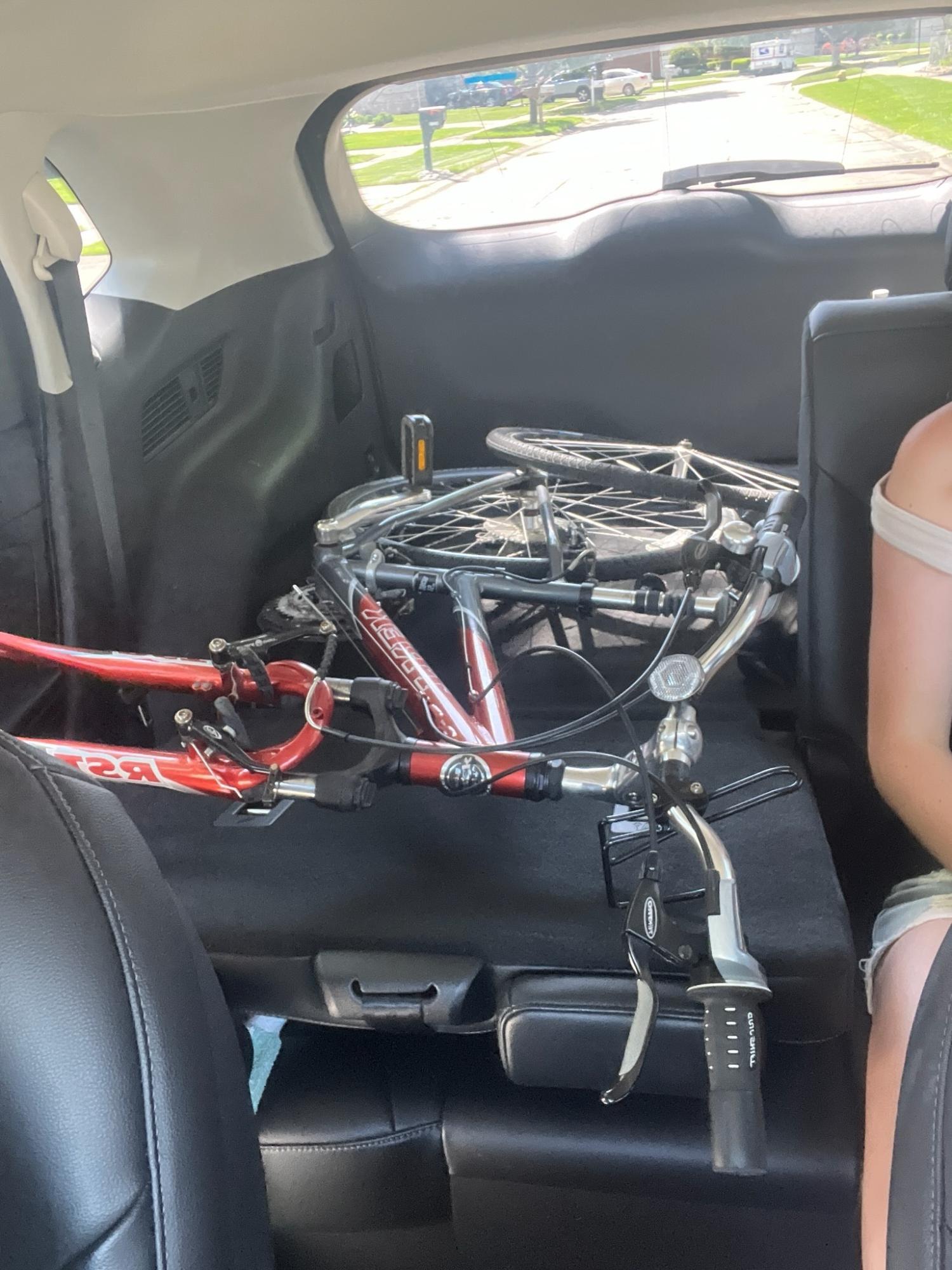 2023 Trek Marlin 6 Gen 2 Red and Black