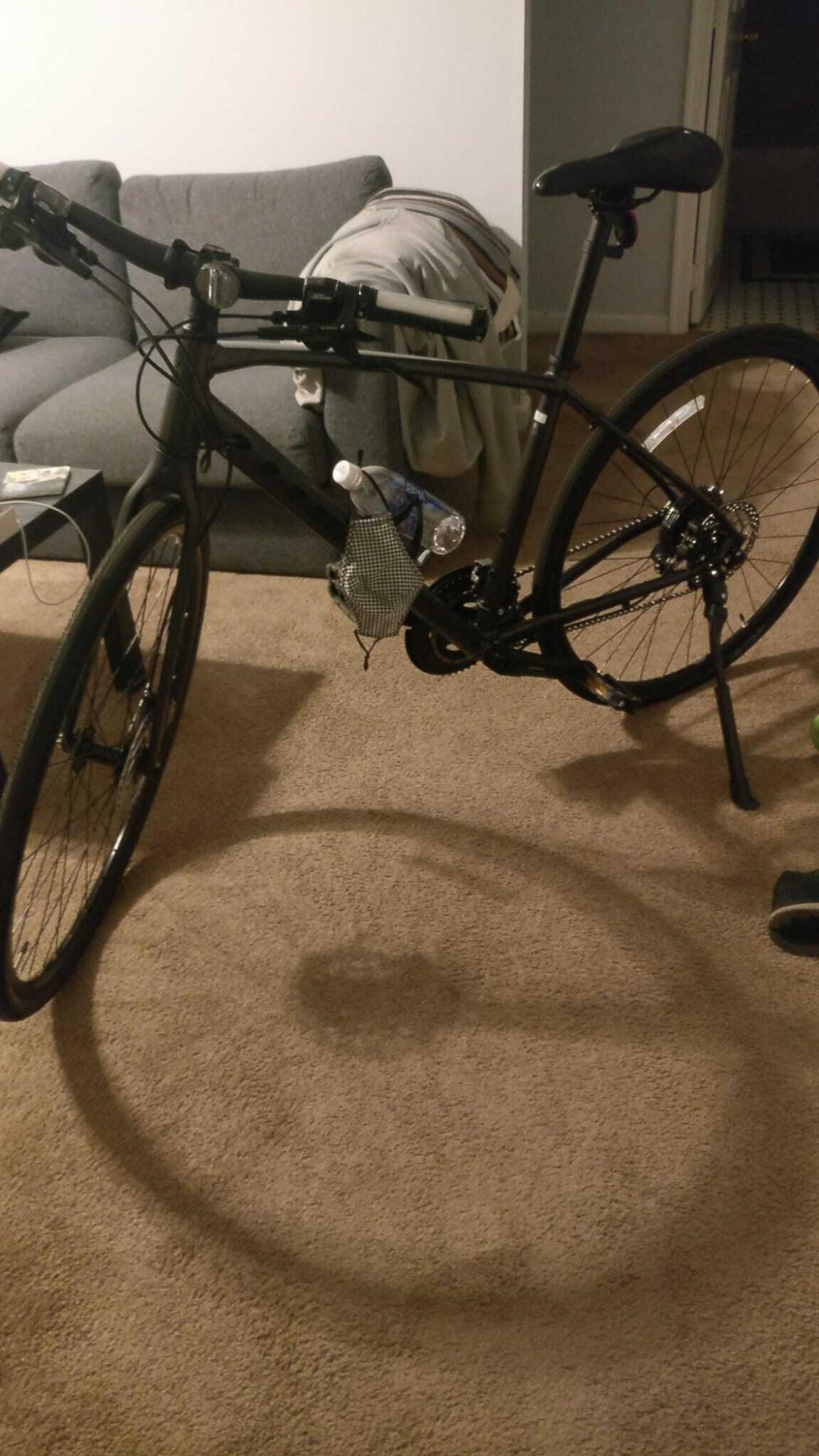 2021 Trek FX Silver, gray or bare metal