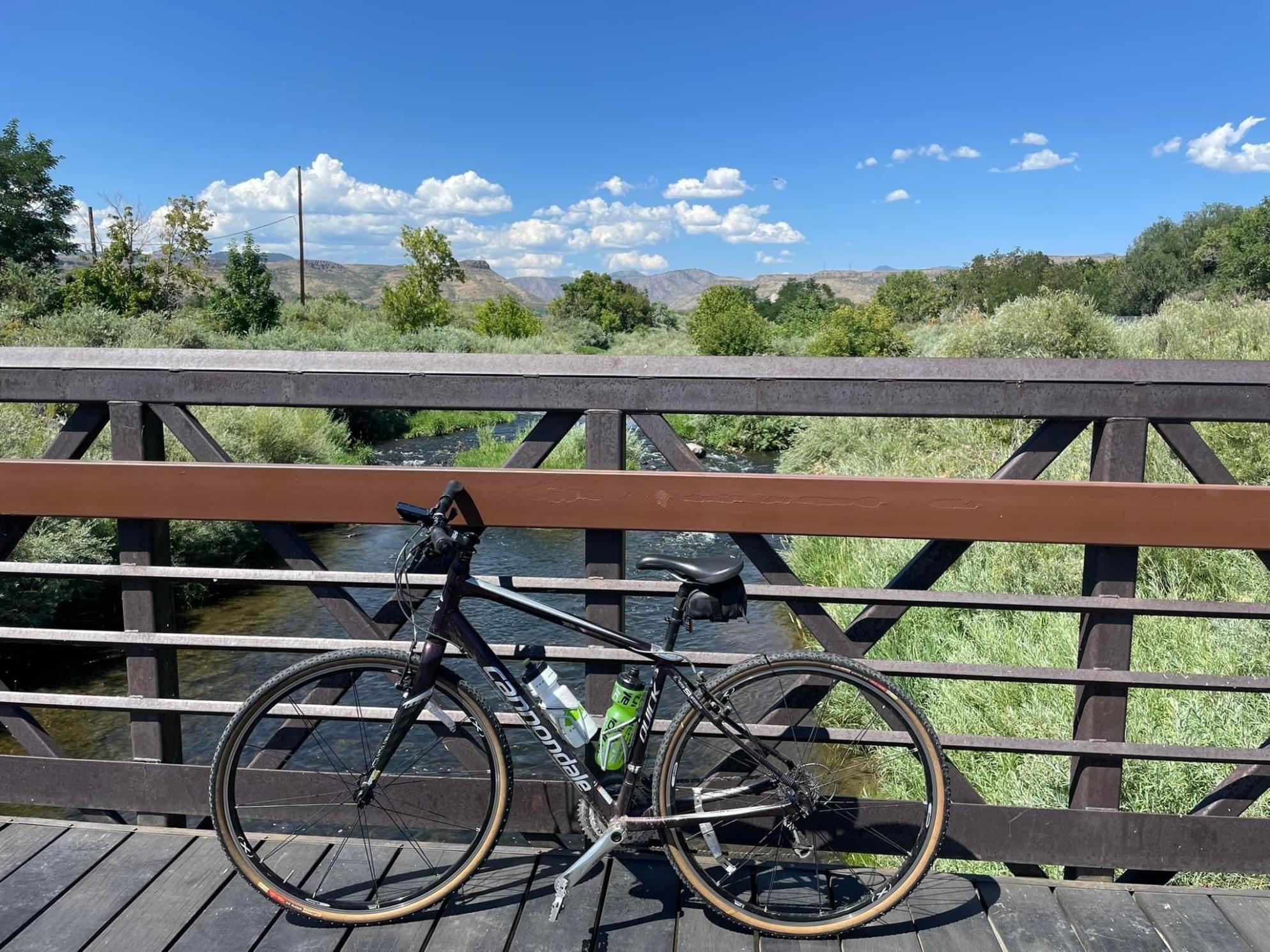 2011 Cannondale Quick 2 Purple and Silver, gray or bare metal