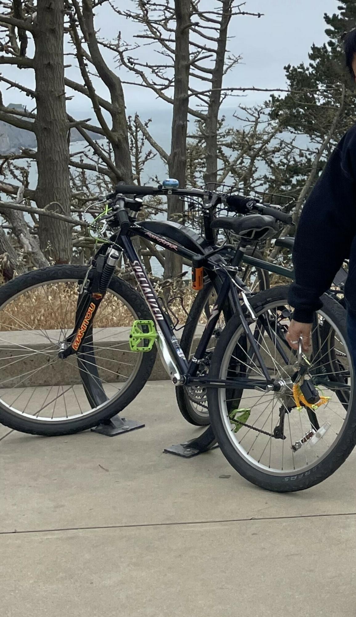 Specialized Rockhopper Blue