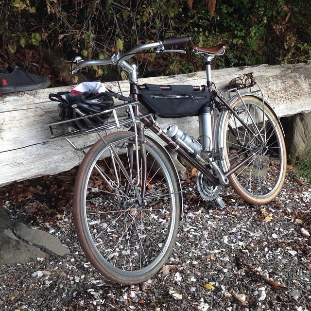 2010 Raleigh Clubman Brown