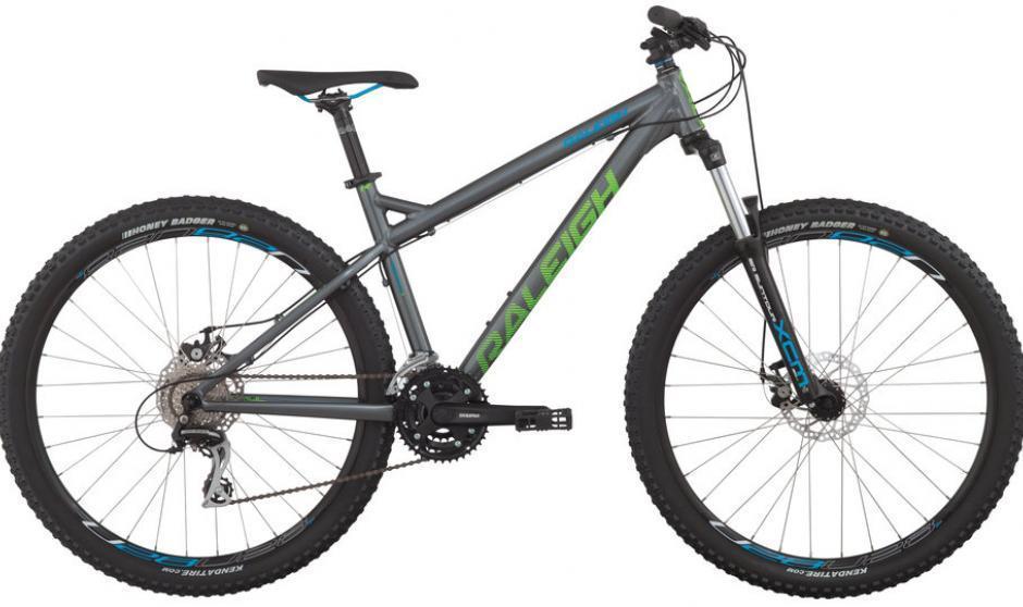 2015 Raleigh Tokul Silver or Gray and Green