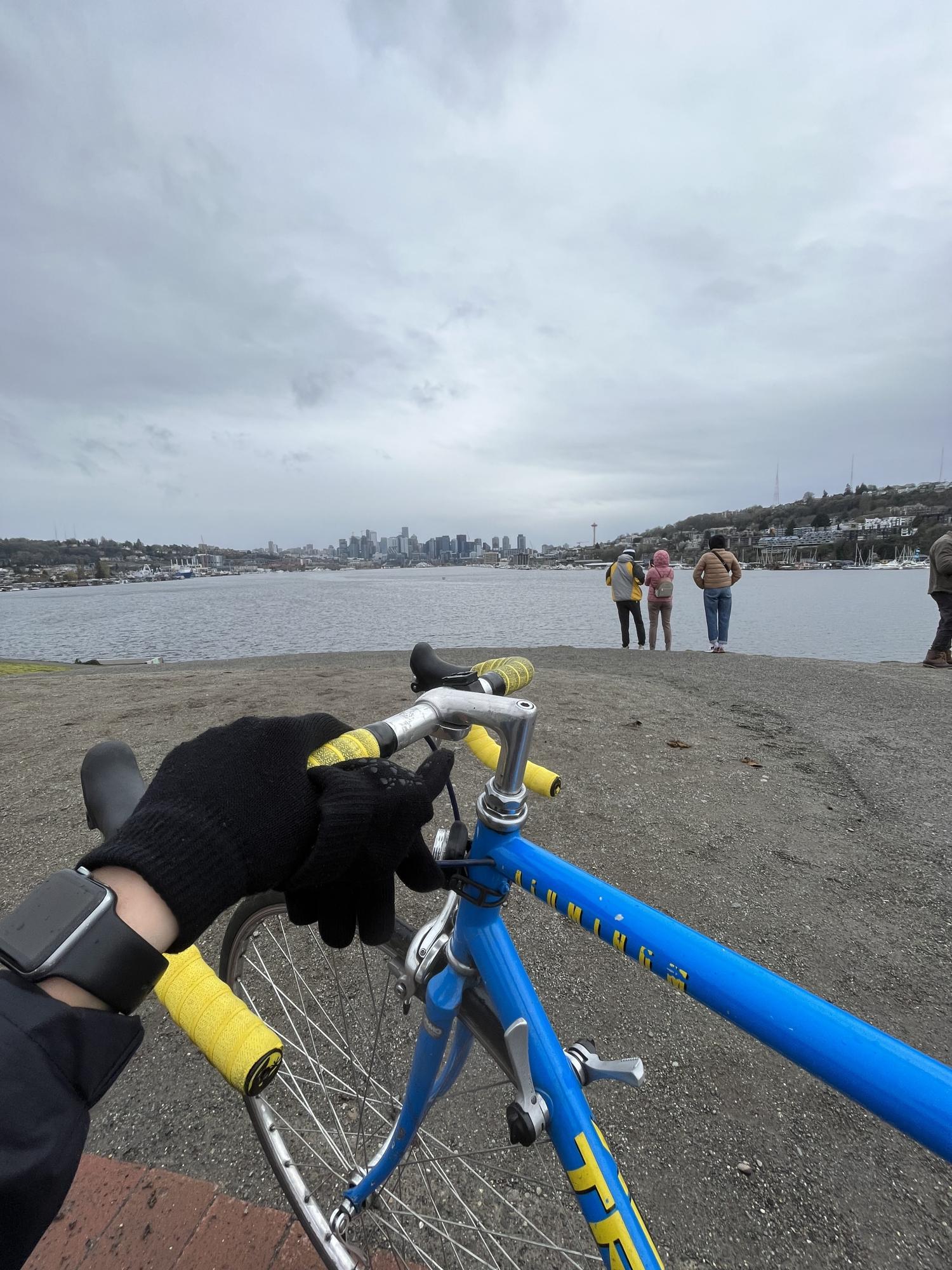 Trek 1100 Blue and Yellow or Gold