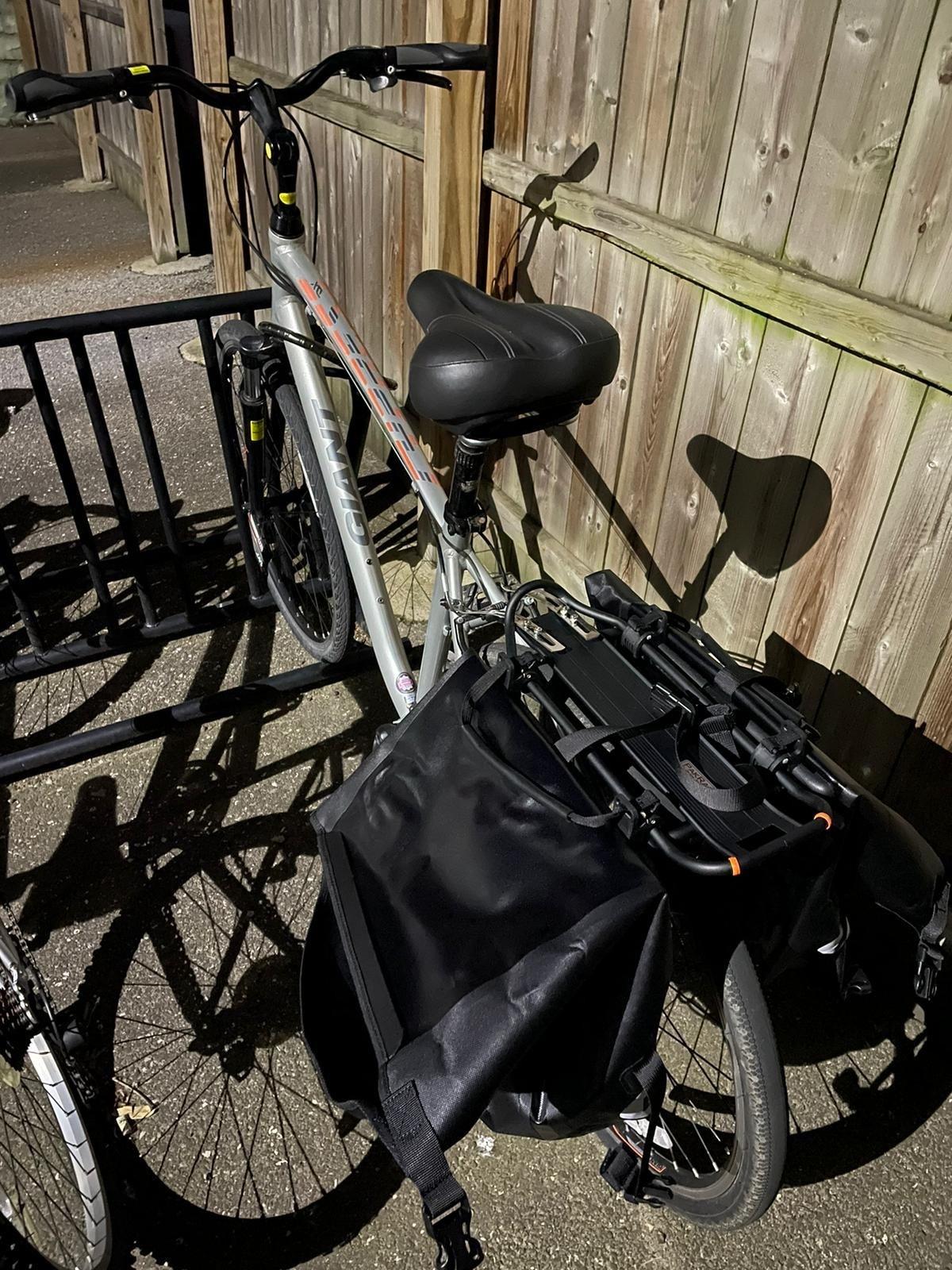 Giant Cypress DX w Silver Silver, gray or bare metal