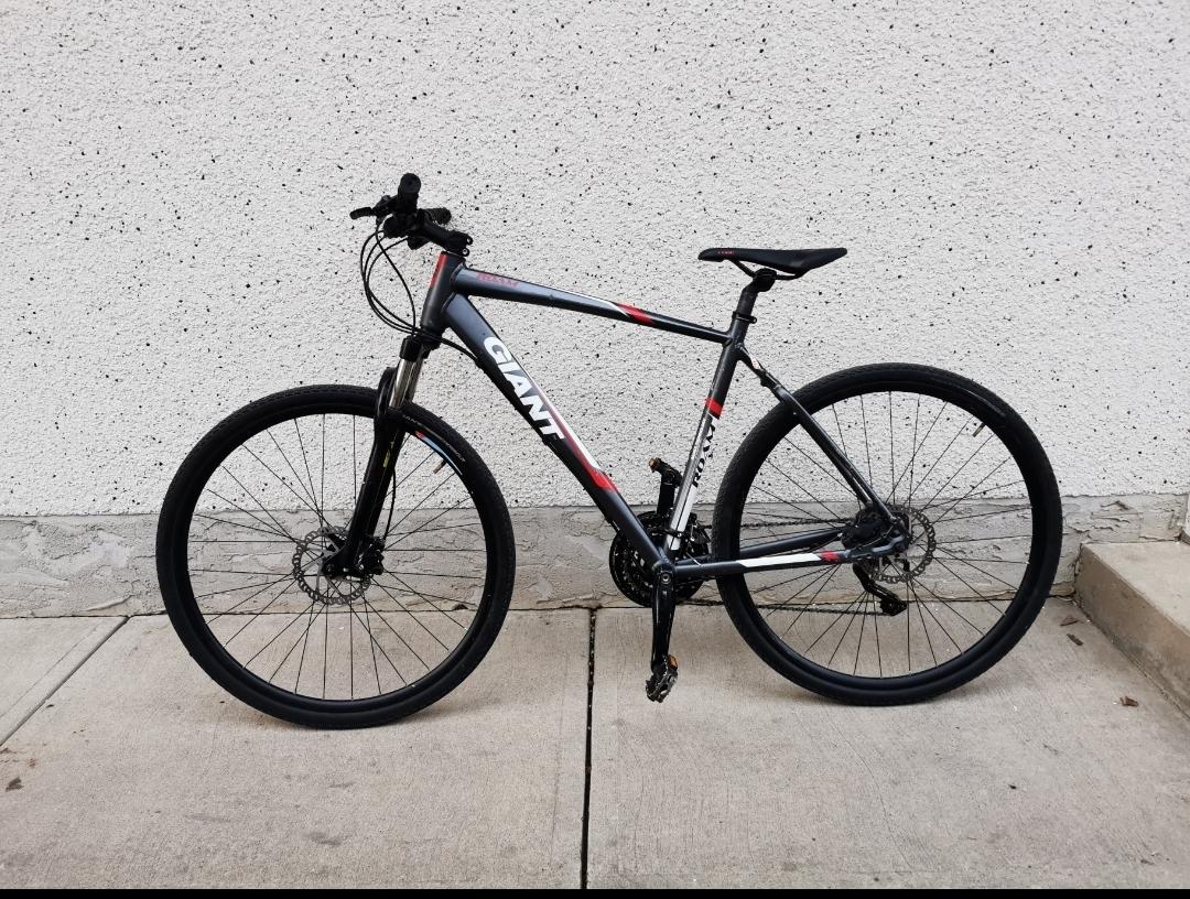 2015 Giant giant roam 1 disc Blue and Black