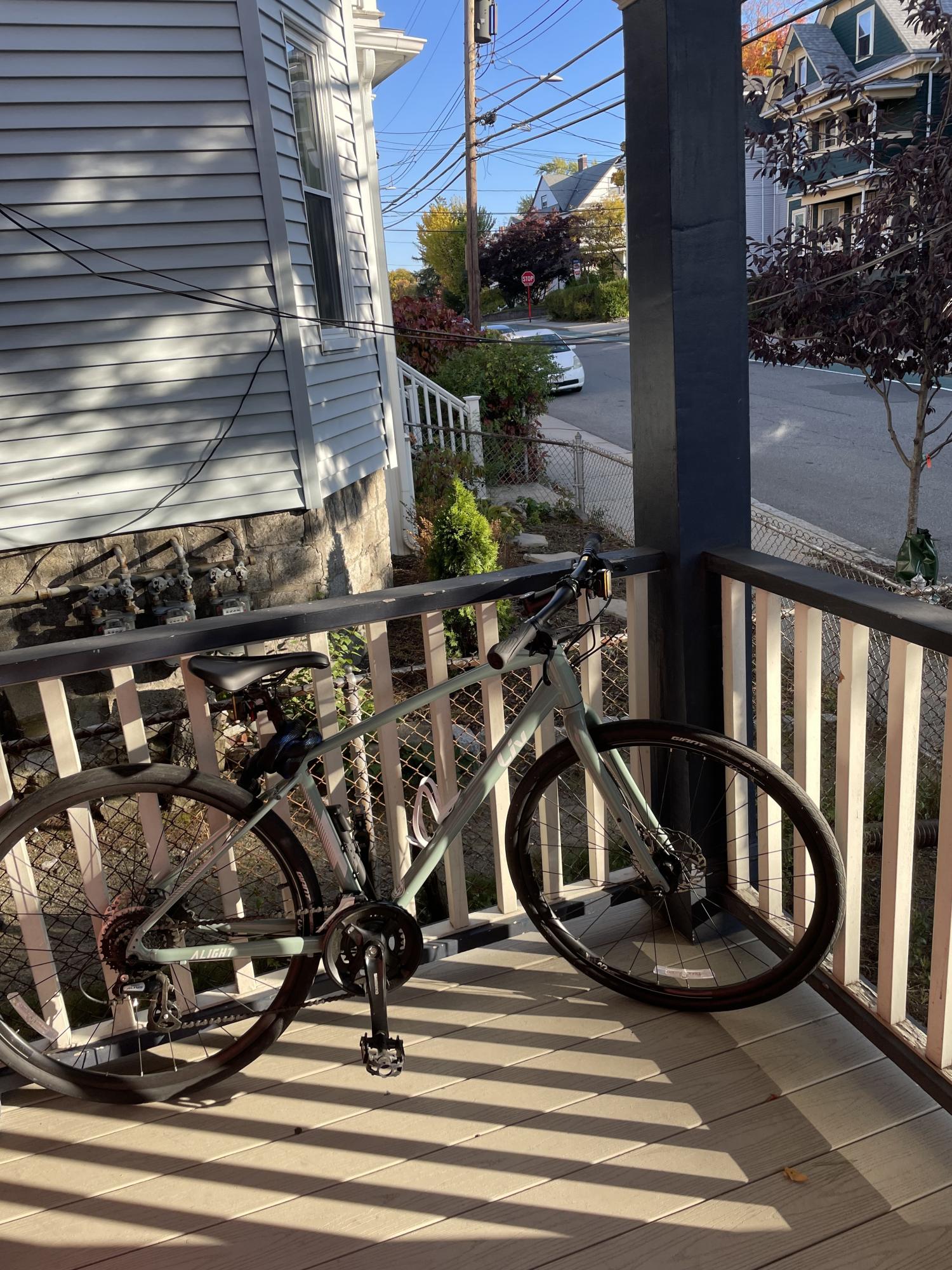 2024 Giant 23 Alight Liv DD Disc Eucalyptus medium Green