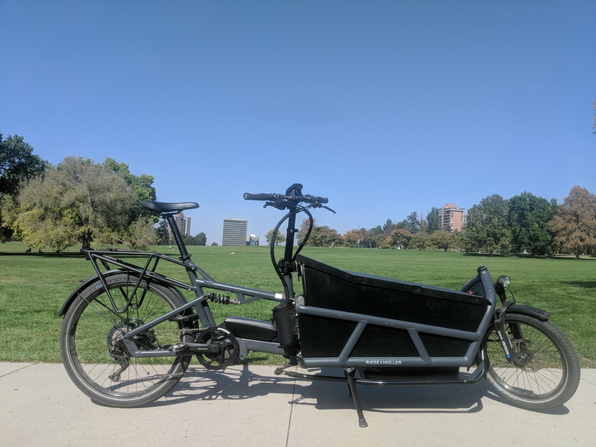 2019 Riese und Müller Load 75 Silver, gray or bare metal