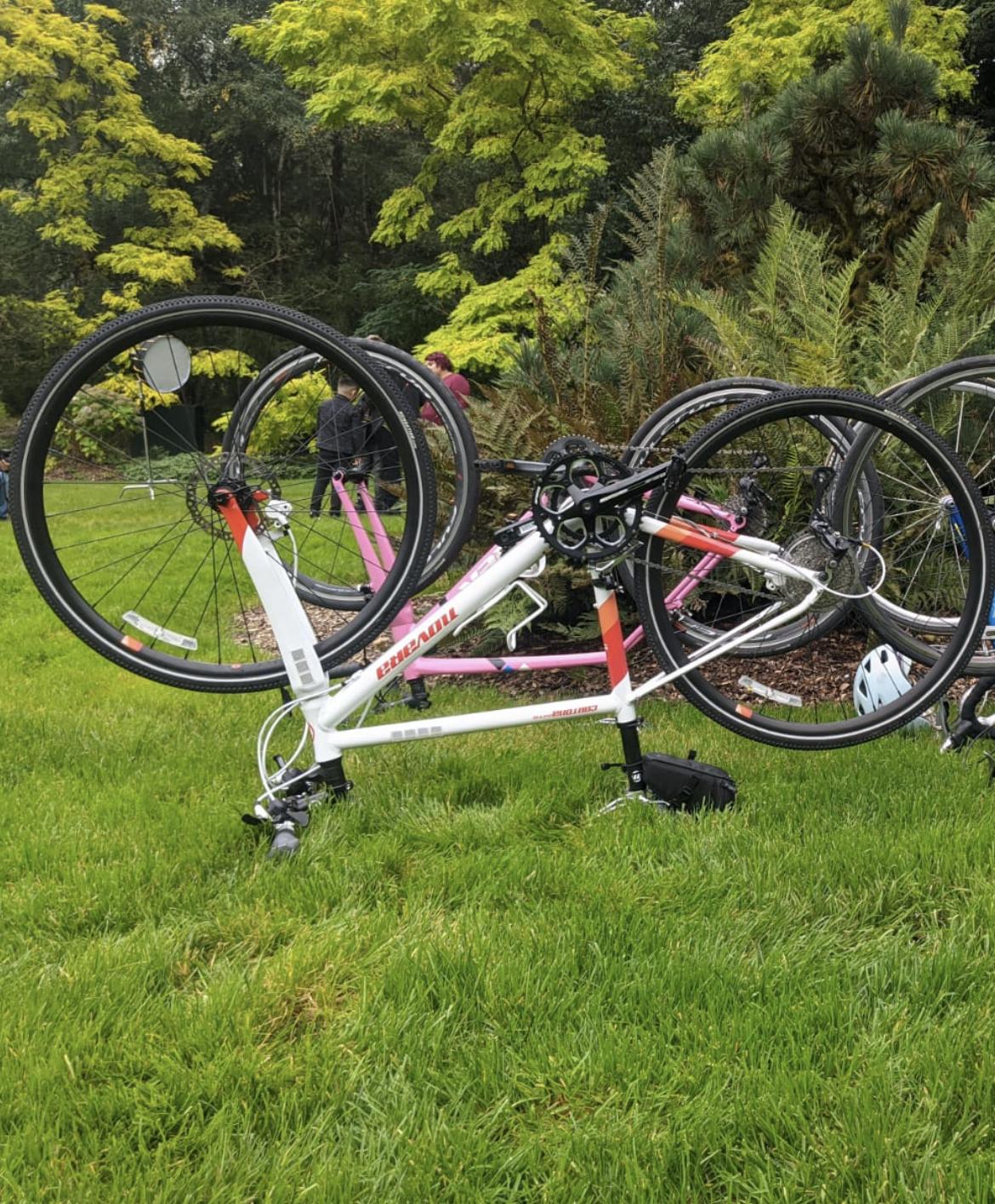 2016 Novara Cortona Donna White, Orange, and Red