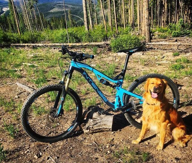 2016 Intense Spider 275A Blue and Black