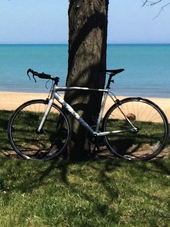 2014 Specialized Langster Street Silver or Gray