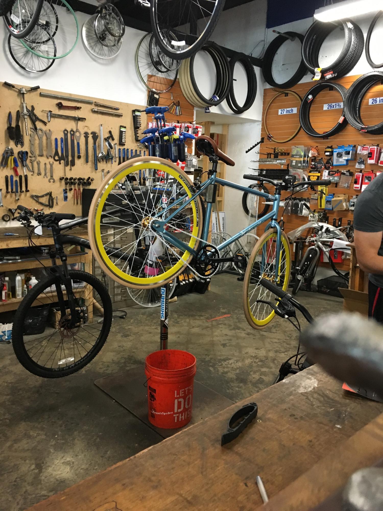 Bilda Holly Roller Blue